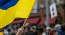 Новий закон про права ВПО